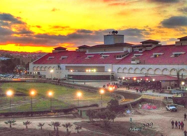AguaDog1_043014.jpg